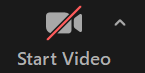 bat-video-zoom