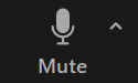 tat-tieng-mute-trong-zoom