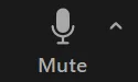 tat-tieng-mute-trong-zoom