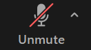 unmute-bat-tieng