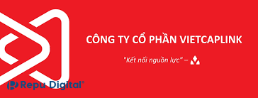 Anh Vietcaplink